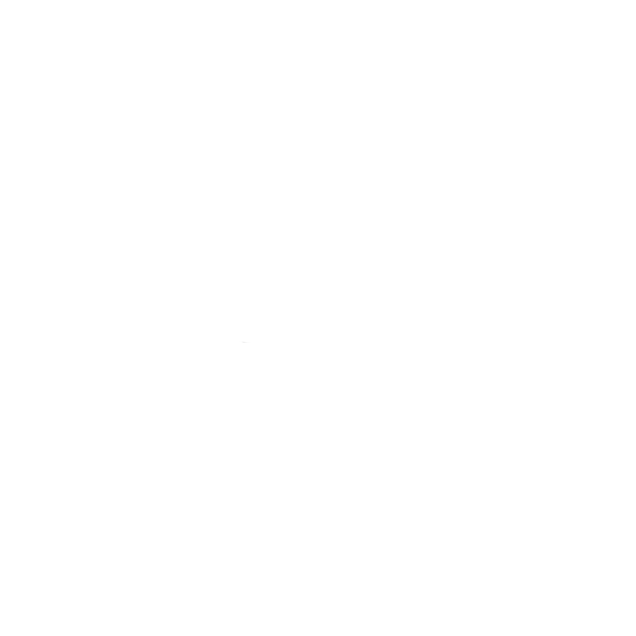 Domotic Concept Icon